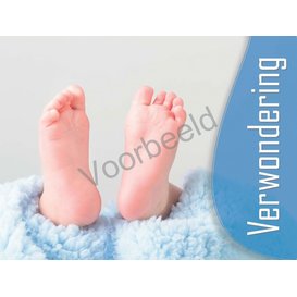 Birth - Wonder