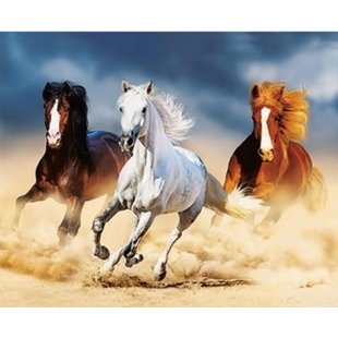 - Paarden in Galop (3D)
