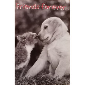 Friends Forever