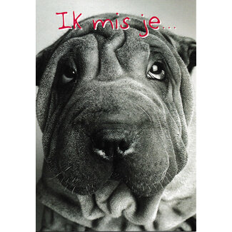 The Original Poster Company Ik mis je