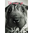 The Original Poster Company Ik mis je