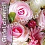 Good Seed Cards Gefeliciteerd