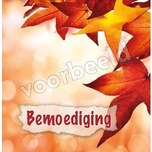 Bemoediging