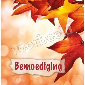 Good Seed Cards Bemoediging