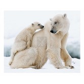 - Eisbär (3D)