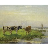 - Landschaftskühe (3D)