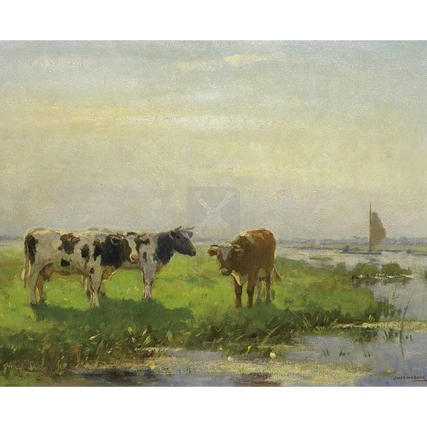 VDMS - Landschaftskühe (3D)