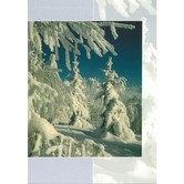 Schneelandschaft
