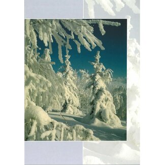 Good Seed Cards Sneeuwlandschap