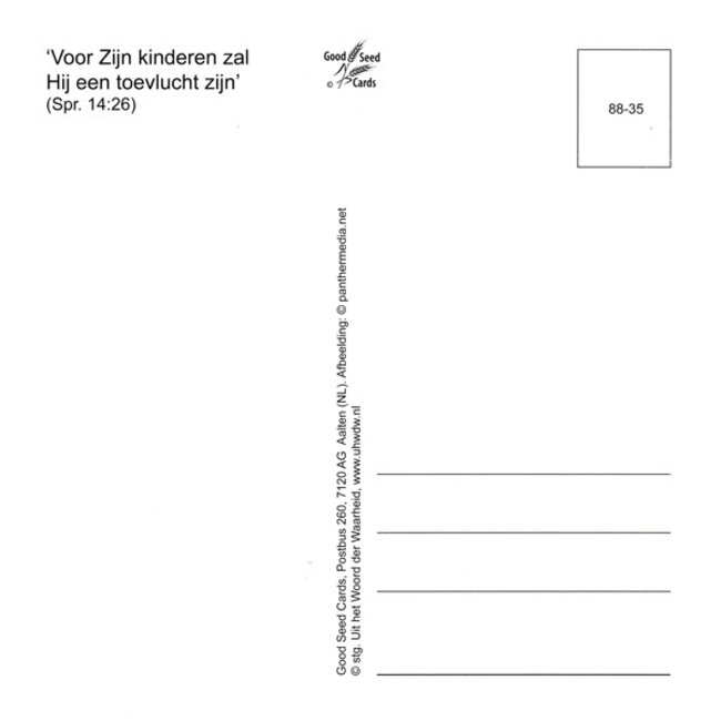 Good Seed Cards Verdriet