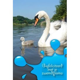 swimming Certificate Swan