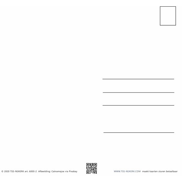 TSS-Nijkerk - Copy - Copy - Copy - Copy