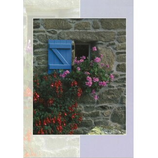 Good Seed Cards Venster