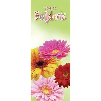 Baaij Light Cards Boekenlegger Voor je Belijdenis