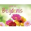 Baaij Light Cards Belijdenis - Bloemen