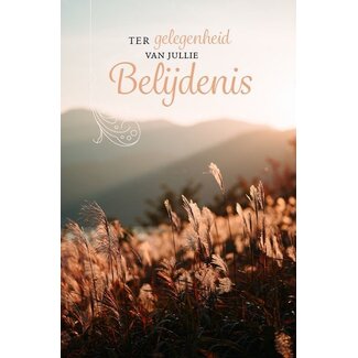 Baaij Light Cards Wenskaart Belijdenis - Korenveld