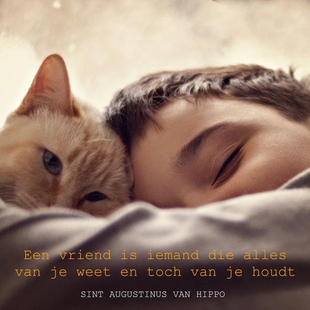 TSS-Nijkerk Set Augustine (5 Karten)