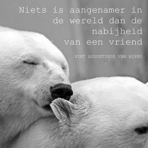 TSS-Nijkerk Set Augustine (5 Karten)