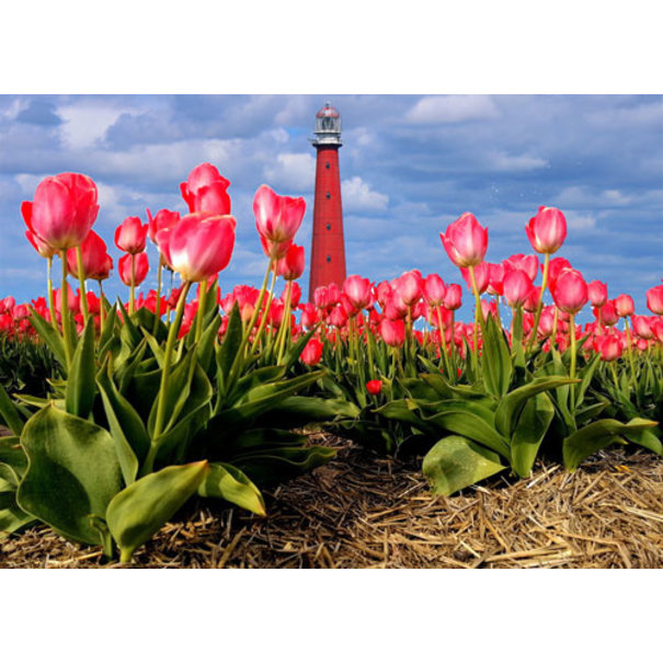 TSS-Nijkerk - Copy - Copy - Copy - Copy