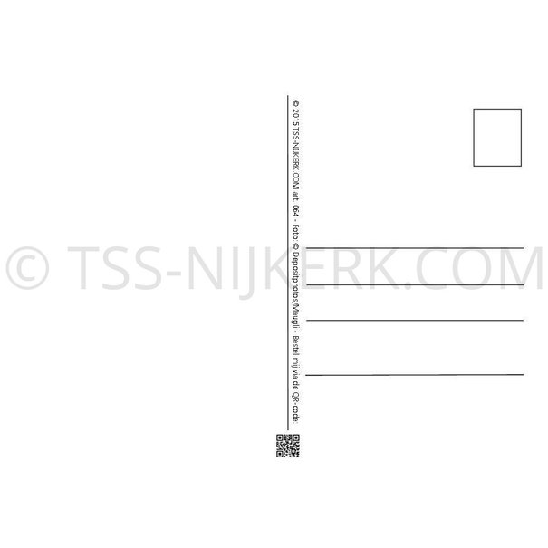 TSS-Nijkerk - Copy - Copy - Copy - Copy