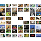 50 Tierkarten - D