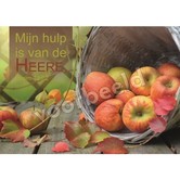 Mijn hulp