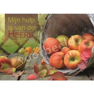 Good Seed Cards Mijn hulp
