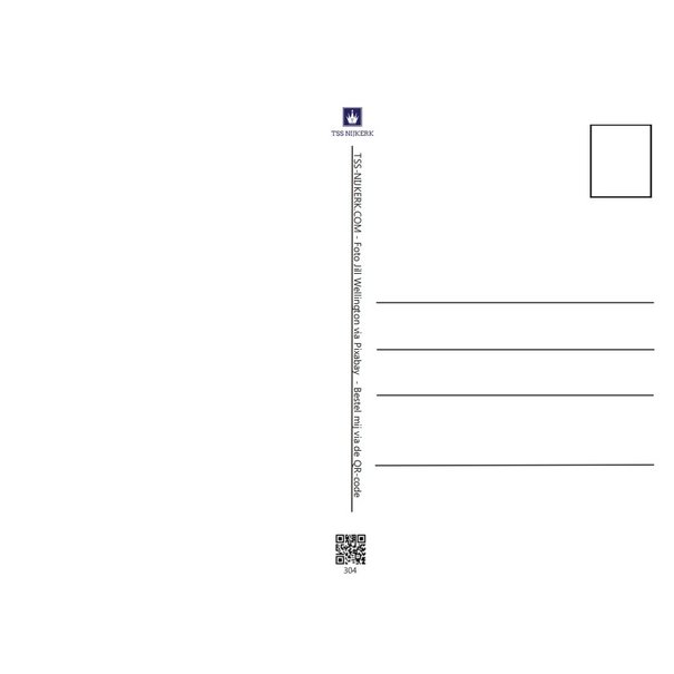 TSS-Nijkerk Happy Birthday