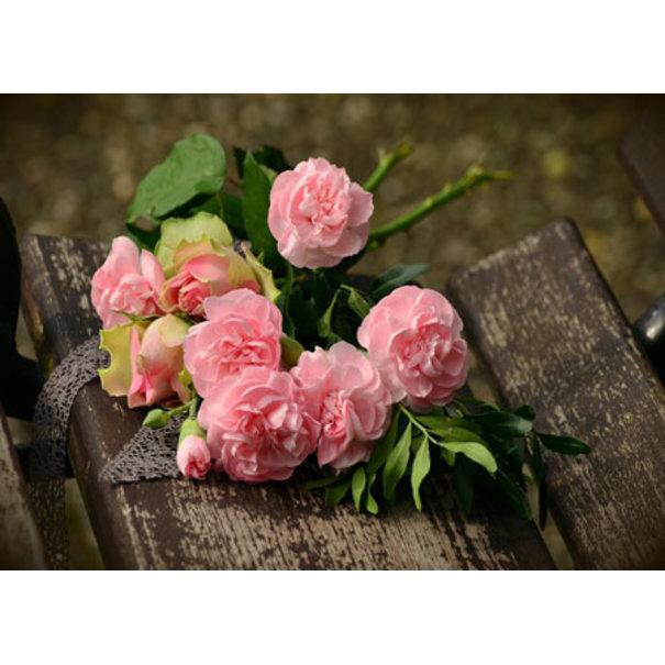 TSS-Nijkerk - Copy - Copy - Copy - Copy - Copy - Copy