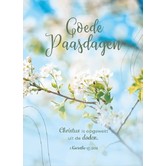 Ostern - Fröhlich