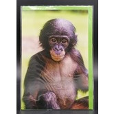Blank card with Monkey