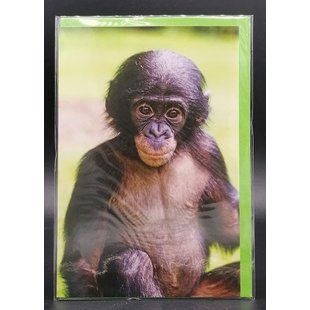 Blank card with Monkey