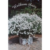 Welkom Thuis