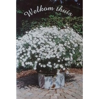 Welkom Thuis