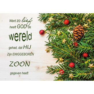 TSS-Nijkerk 5x  Ansichtkaart "Want zo lief..."