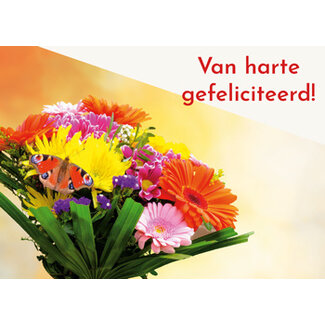 TSS-Nijkerk Van Harte