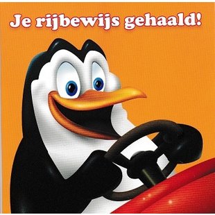 Rijbewijs