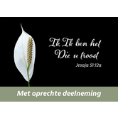 Trost (Postkarte!)