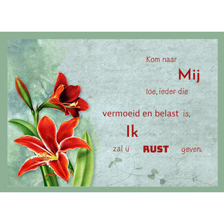 TSS-Nijkerk Rust