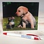 VDMS Hond met Poes (3D)