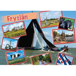 VDMS Fryslân