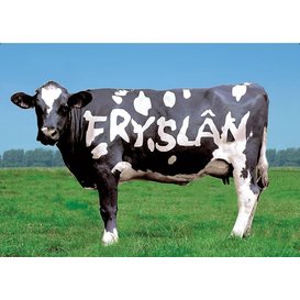 Fryslân