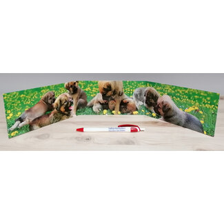Puppy's