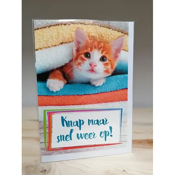 Marant Cards - Copy - Copy - Copy - Copy - Copy - Copy - Copy - Copy - Copy - Copy - Copy - Copy - Copy - Copy - Copy - Copy - Copy - Copy - Copy - Copy - Copy - Copy