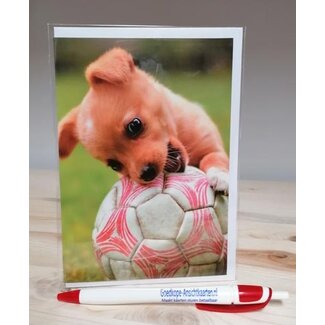 Marant Cards Bal-Dog