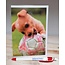 Marant Cards Bal-Dog