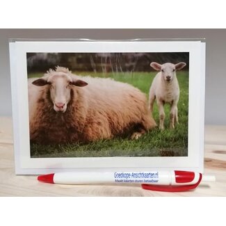 Marant Cards Schapenkaart