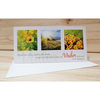 Baaij Light Cards Spurgeon - Panoramakaart