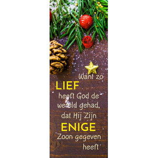 TSS-Nijkerk 10 Boekenleggers Johannes 3:16