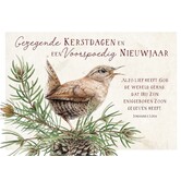 5x ansichtkaarten Kerst  - Johannes 3:16